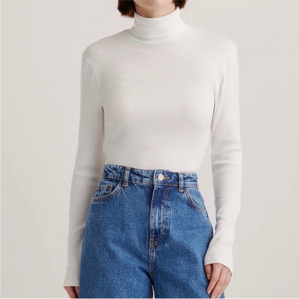 Quince Organic Cotton Microrib Turtleneck